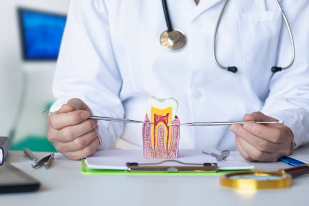Best Emergency Root Canal Treatment in Virginia, MN
